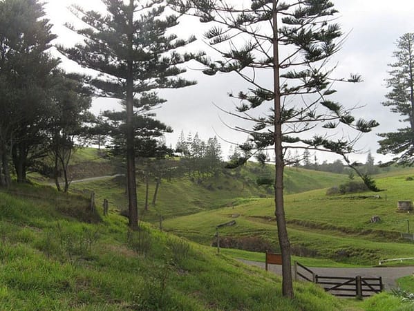View of Headstone Road, Norfolk Island. Picture by Barry and Heather Minton