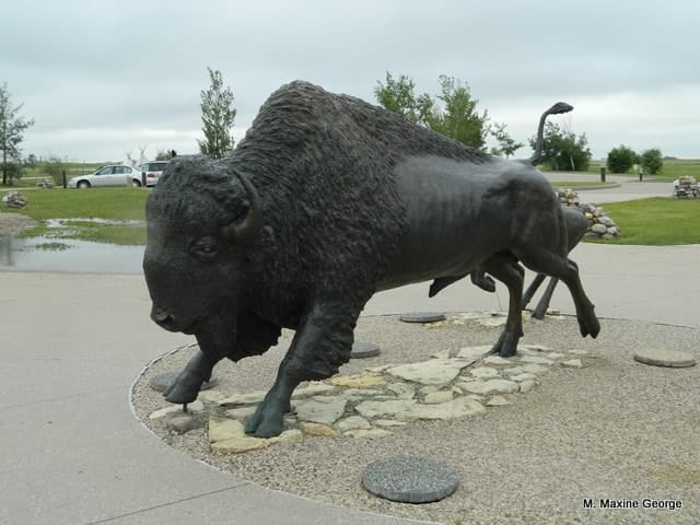 Wanuskewin Heritage Park buffalo statue