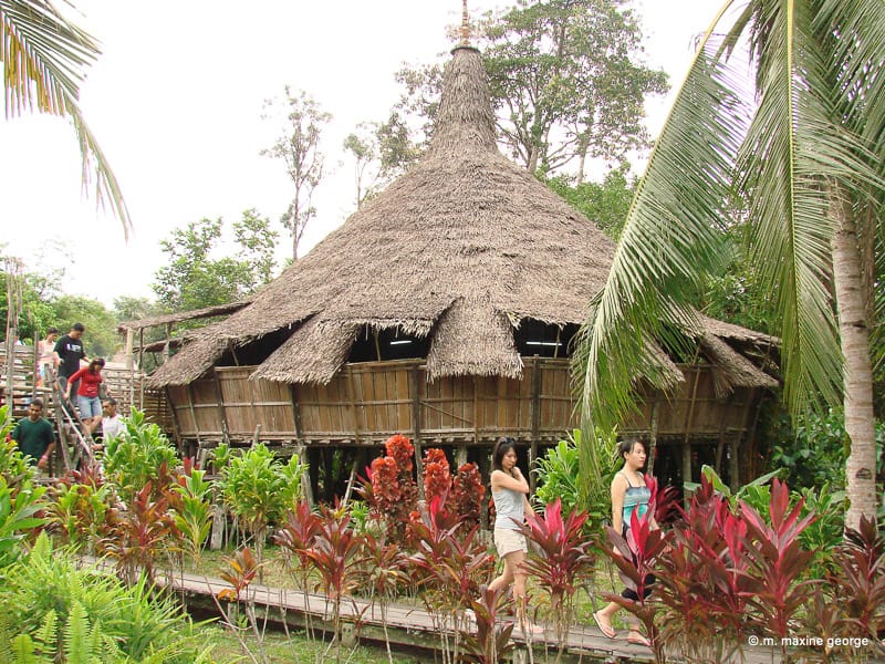 thatched roof. sarawak cultural village