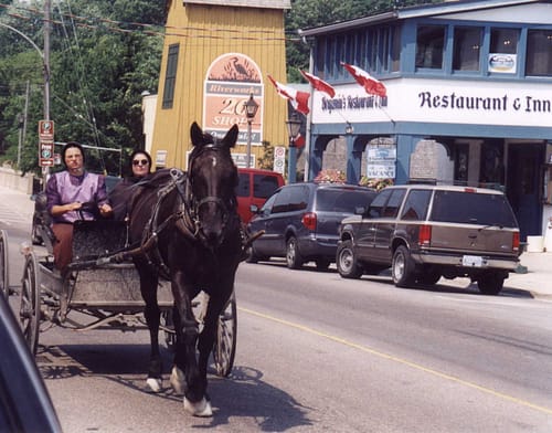 St. Jacobs Mennonite village horse and cairrage 