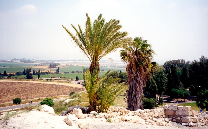 Megiddo, Overlooking the Plains of Armageddon
